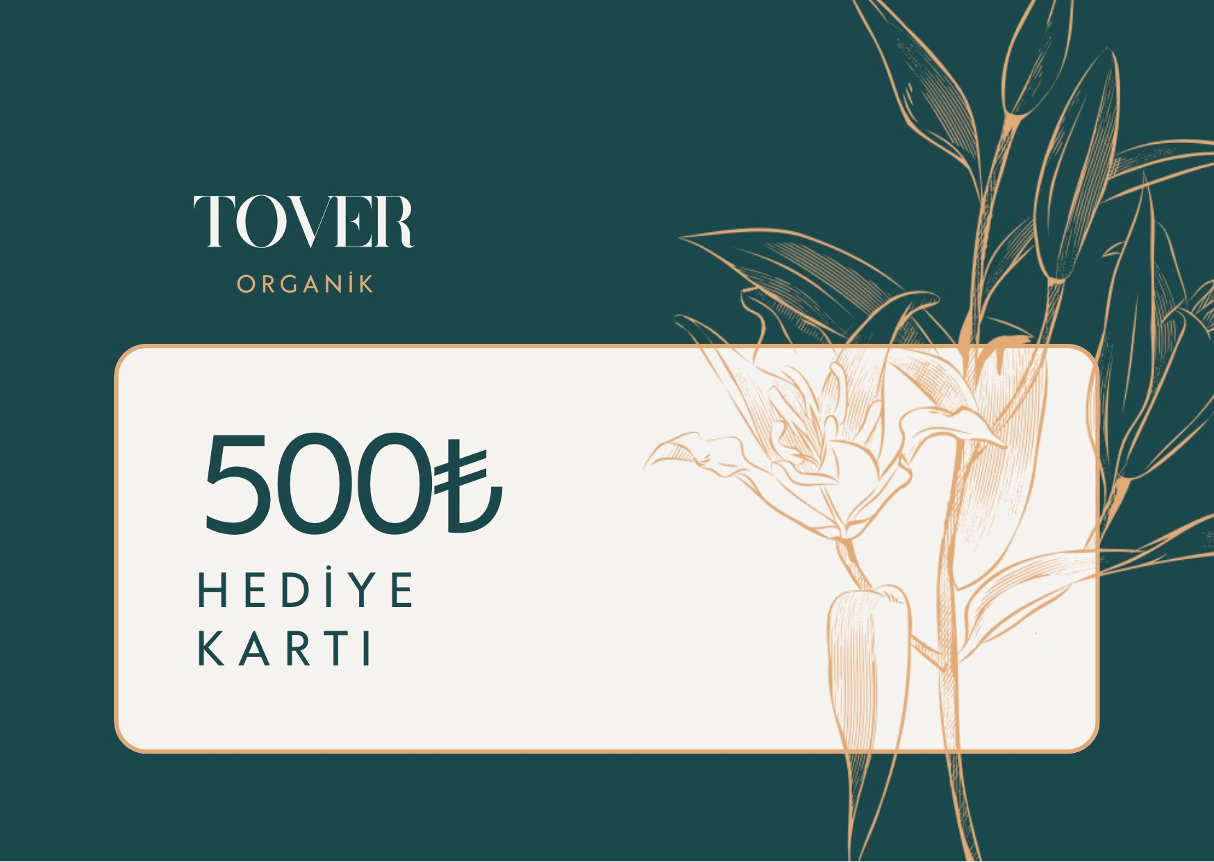 500tl Hediye Kartı